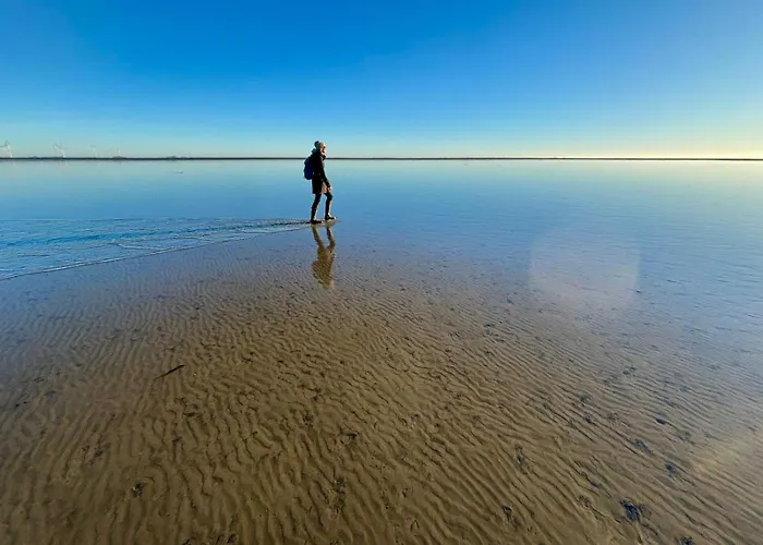 Apartment Springfloot